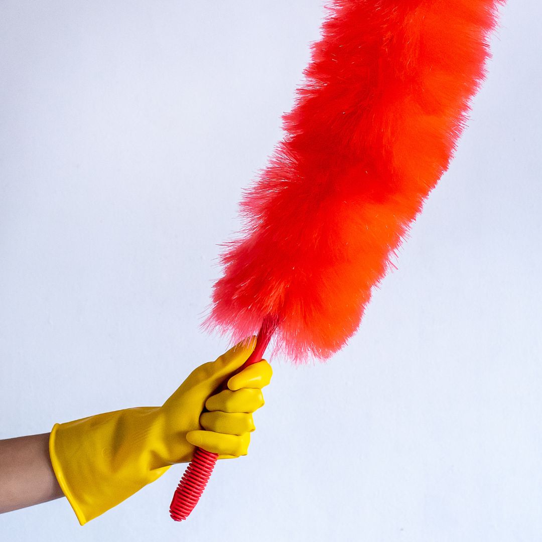 Feather duster.